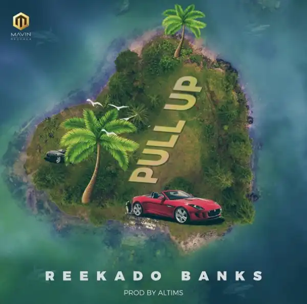 Reekado Banks - Pull Up